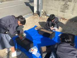 チューリップ成長記録