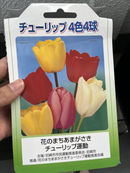 花のまちあまがさきチューリップ運動2023