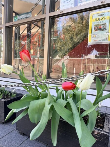 【はなのまちあまがさきチューリップ運動2026】